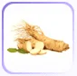 Extrait de Panax notoginseng